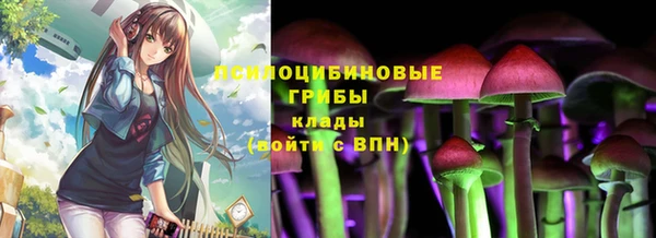 гашик Богданович