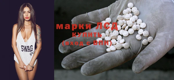 гашик Богданович