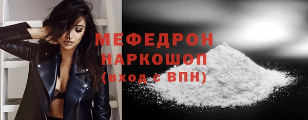 гашик Богданович