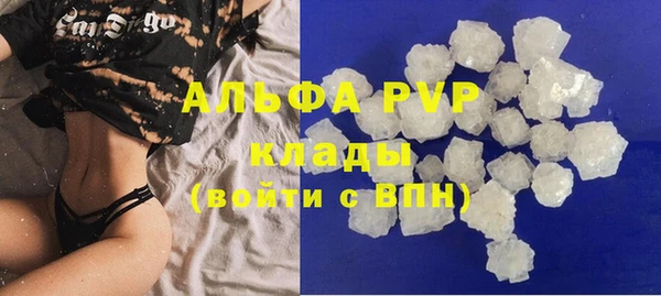 индика Беломорск