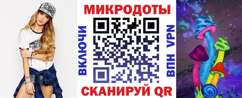 Галлюциногенные грибы Psilocybine cubensis Барабинск